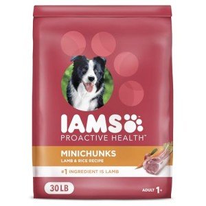 IAMS Minichunks Adult Dog Food with Lamb & Rice