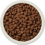 Wag Grain Free Salmon & Sweet Potato Dog Food