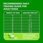 IAMS Minichunks Adult Dog Food with Lamb & Rice