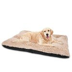Ultra Soft Washable Calming Dog Bed, Beige