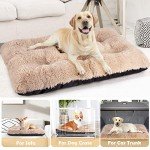Ultra Soft Washable Calming Dog Bed, Beige