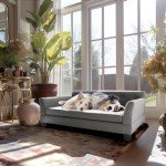 BingoPaw Extra Large Dog Sofa Bed - Easy Clean