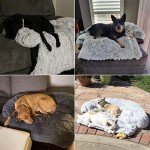 Fluffy Calming Dog Bed with Removable Cover