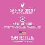 Natural Grain-Free Dog Food for Small Breeds