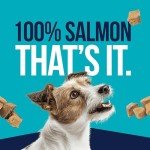 Stewart Freeze-Dried Wild Salmon Dog Treats