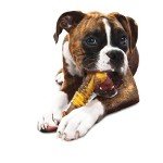 Nylabone Flavor Frenzy Dental Chew Toy - X-Large