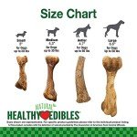 Nylabone Ham Flavor Broth Bone Dog Chews