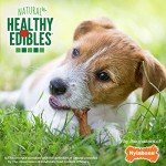 Nylabone Ham Flavor Broth Bone Dog Chews