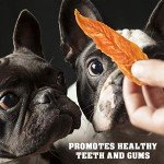 Human-Grade Chicken Jerky Dog Treats - 1.5 Lb