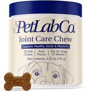 Joint Care Chews for Dogs – Support Mobility