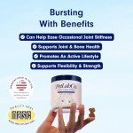 Joint Care Chews for Dogs – Support Mobility