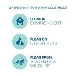 Elanco Tapeworm Dewormer Tablets for Dogs