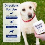 Joint Care Chews for Dogs – Support Mobility