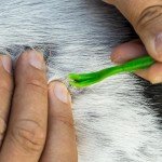 TickCheck Tick Remover Set for Pets & People