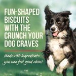 Merrick Peanut Butter Dog Treats - 11 oz