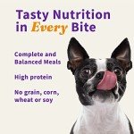 Beef Recipe Freeze-Dried Raw Dog Food Bites