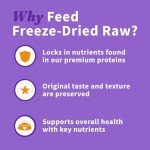 Beef Recipe Freeze-Dried Raw Dog Food Bites