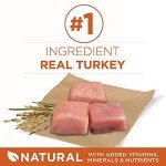 Purina ONE Healthy Weight High-Protein Dog Food