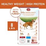 Purina ONE Healthy Weight High-Protein Dog Food