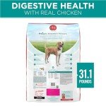 Purina One Digestive Health Dry Dog Food - 31.1 Lb