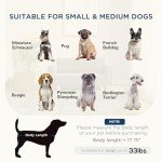 Cozy Elevated Dog Sofa for Small Pets