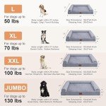 Orthopedic Large Dog Bed with Washable Cover