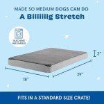Comfortable Orthopedic Dog Bed with Memory Foam