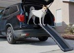 Portable 61" Folding Pet Ramp for Puppies