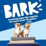 Comfortable Orthopedic Dog Bed with Memory Foam