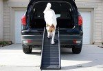 Portable 61" Folding Pet Ramp for Puppies