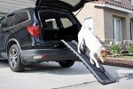 Portable 61" Folding Pet Ramp for Puppies