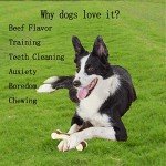 Beef Flavor Indestructible Dog Chew Toys - 2 Pack