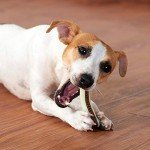 Beef Flavor Indestructible Dog Chew Toys - 2 Pack