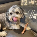 Durable Bamboo Chew Toy for Puppies & Dogs