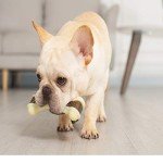 Beef Flavor Indestructible Dog Chew Toys - 2 Pack