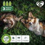Natural Flea & Tick Prevention for Small Pets