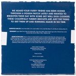 Get Well Dog Cookies Gift Set - 8 Treats