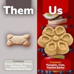 Crunchy Pumpkin & Apple Dog Biscuits - 16 oz