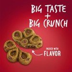 Crunchy Pumpkin & Apple Dog Biscuits - 16 oz