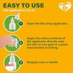 Natural Flea & Tick Prevention for Small Pets