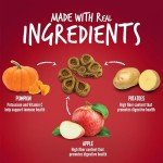 Crunchy Pumpkin & Apple Dog Biscuits - 16 oz