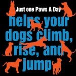 Glucosamine Hip & Joint Chews for Dogs