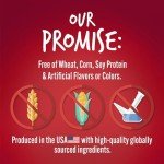 Crunchy Pumpkin & Apple Dog Biscuits - 16 oz