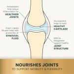 Healthy Hip & Joint Chews for Dogs, 120 Count