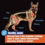 Glucosamine Hip & Joint Chews for Dogs