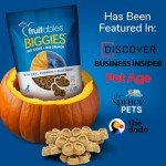 Crunchy Pumpkin & Apple Dog Biscuits - 16 oz