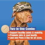 Glucosamine Hip & Joint Chews for Dogs
