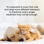 Worm Free: Giarcidia Puppy Wormer with Dropper