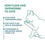 Elanco Tapeworm Dewormer Tablets for Cats 3-Count