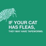 Elanco Tapeworm Dewormer Tablets for Cats 3-Count